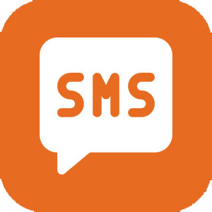 bulk sms delivery