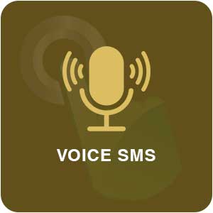 Voice SMS